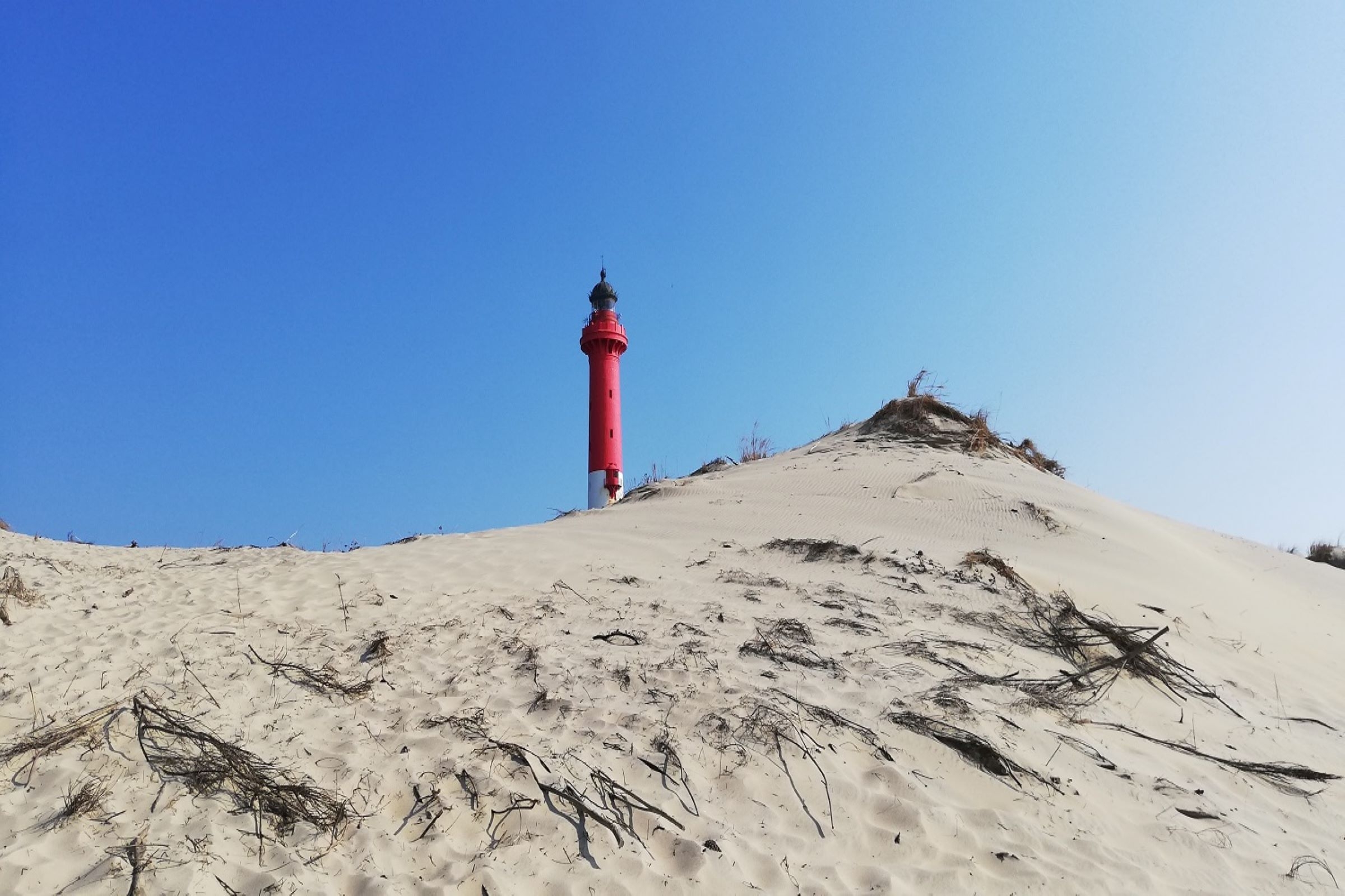 Phare de la Coubre depuis la plage